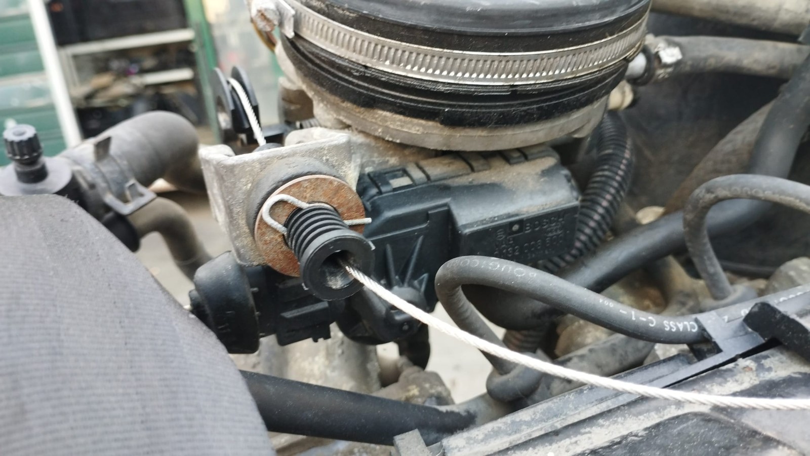 Miniatura 7