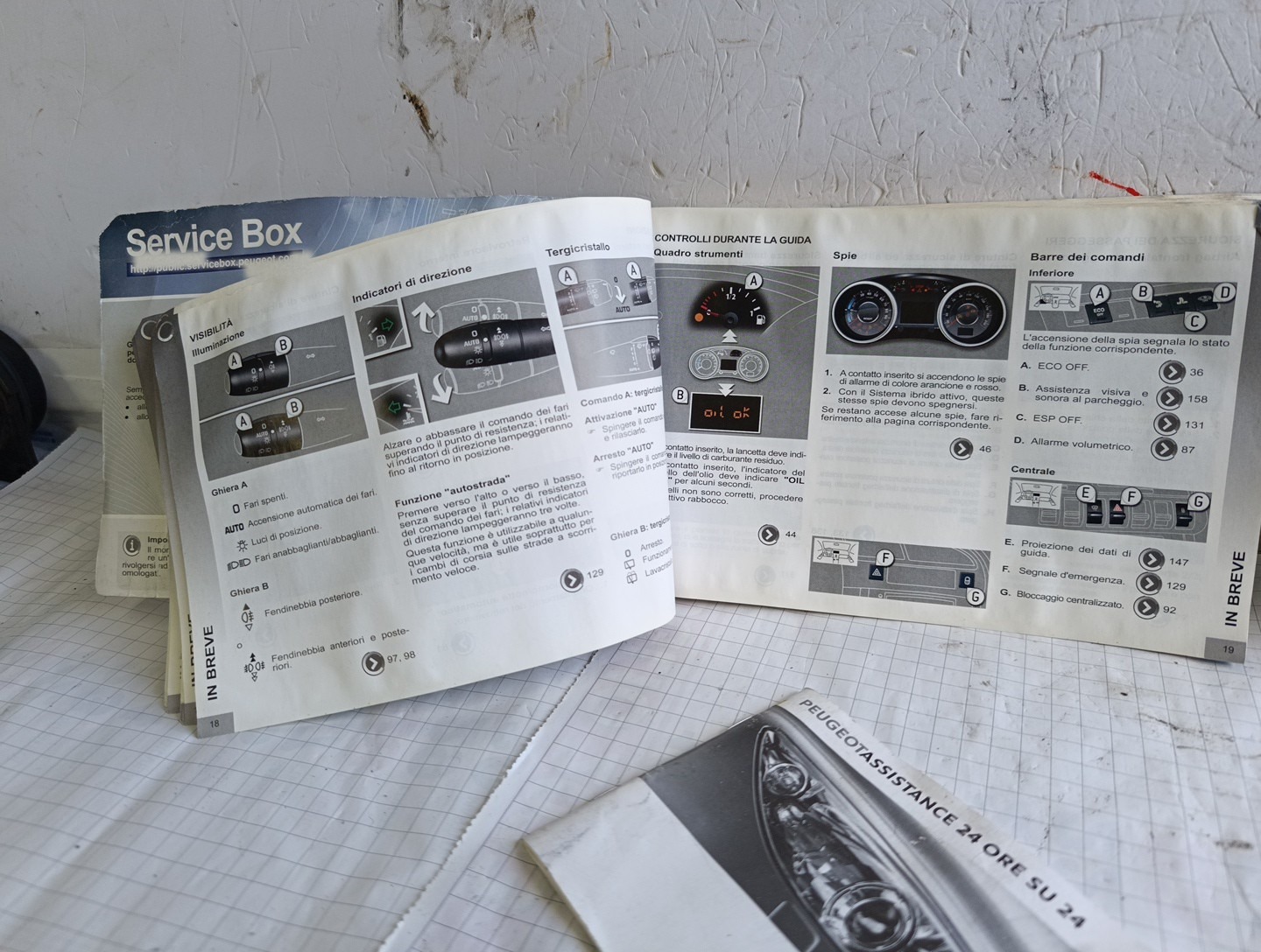 Miniatura 7