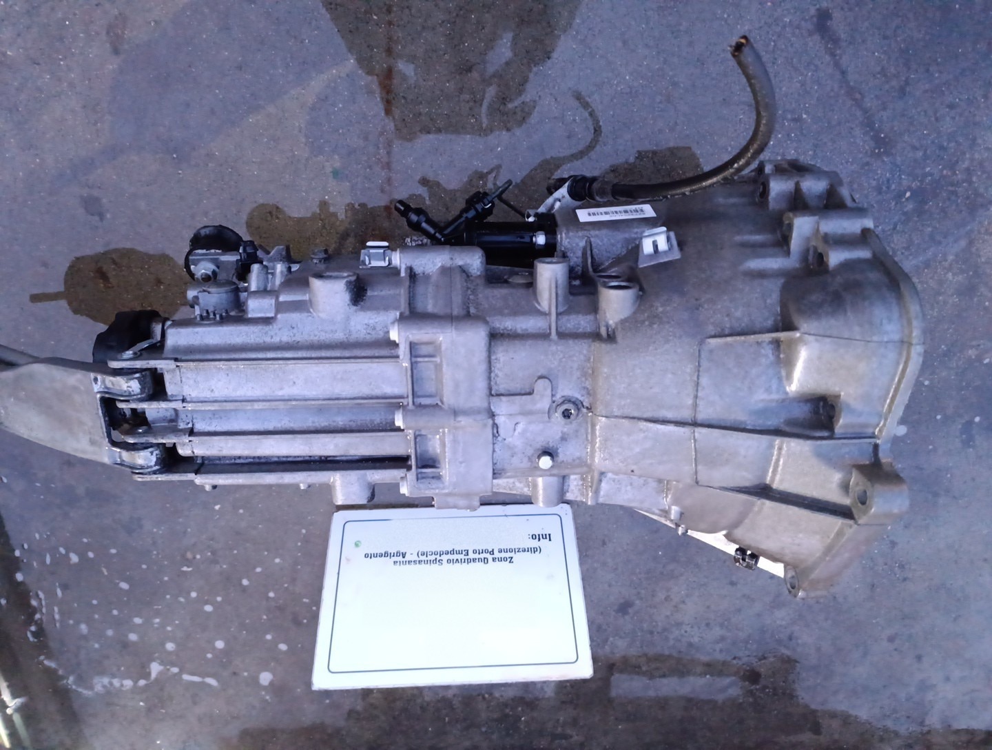 Miniatura 8
