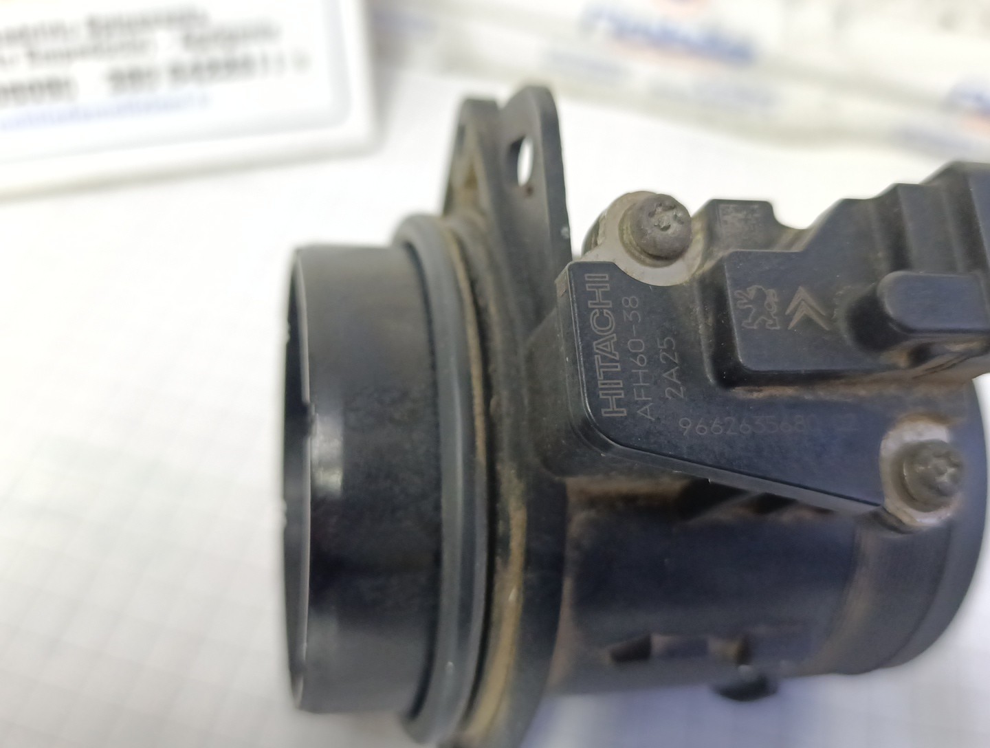Miniatura 8