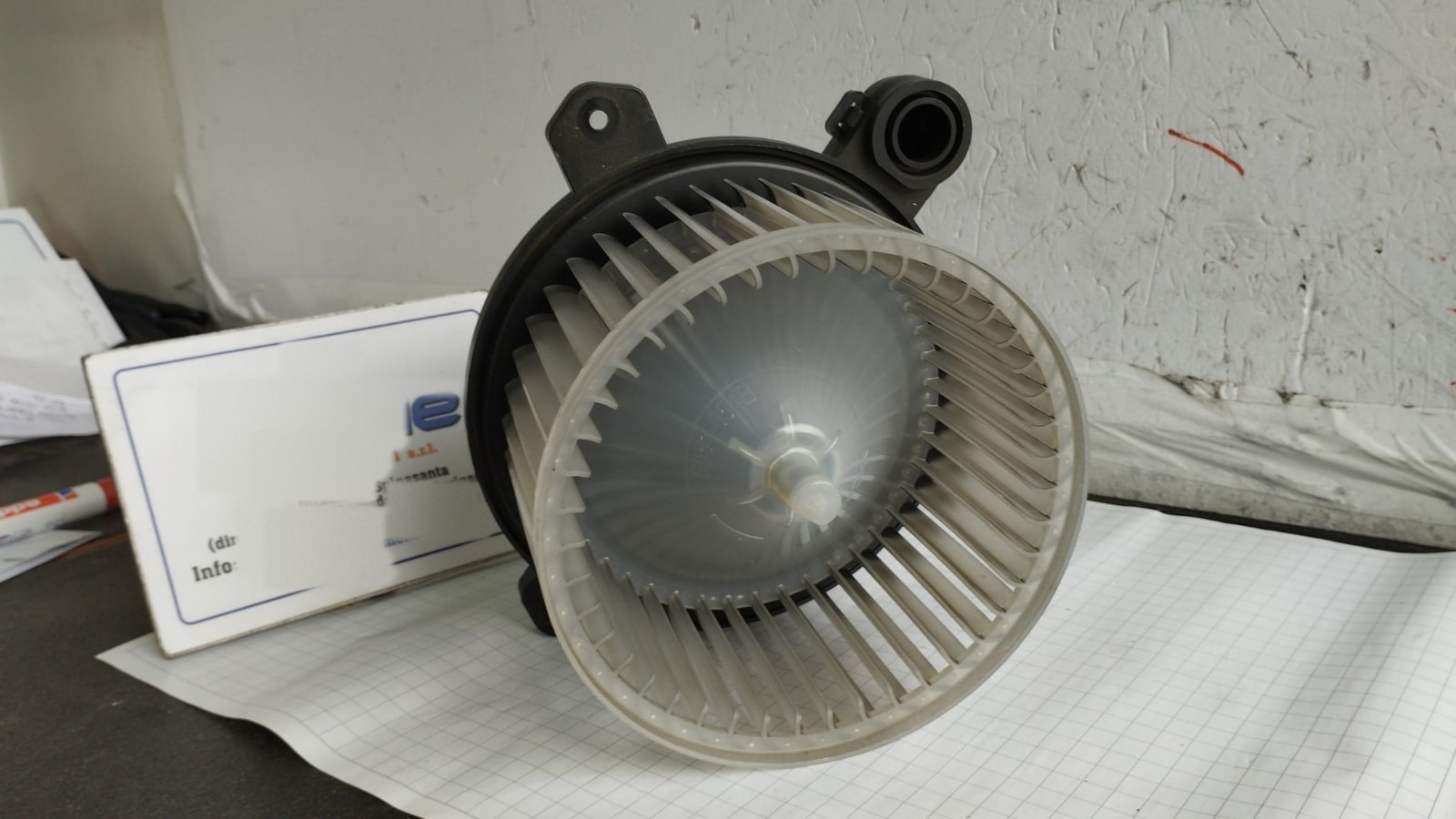 Miniatura 7