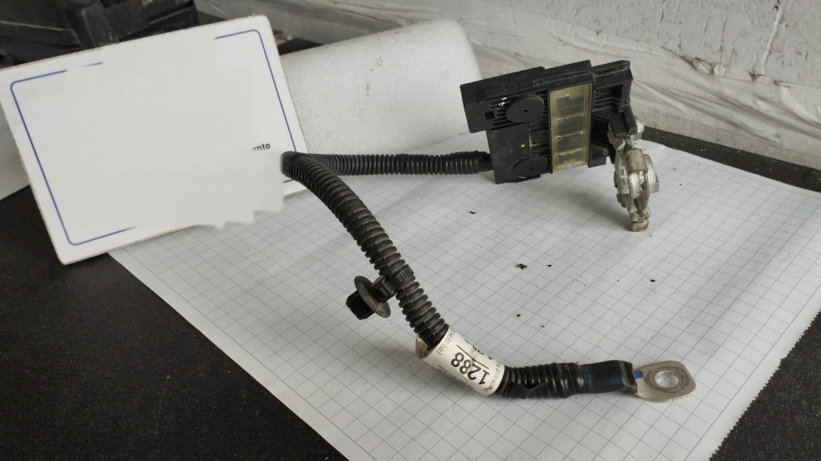 Miniatura 7