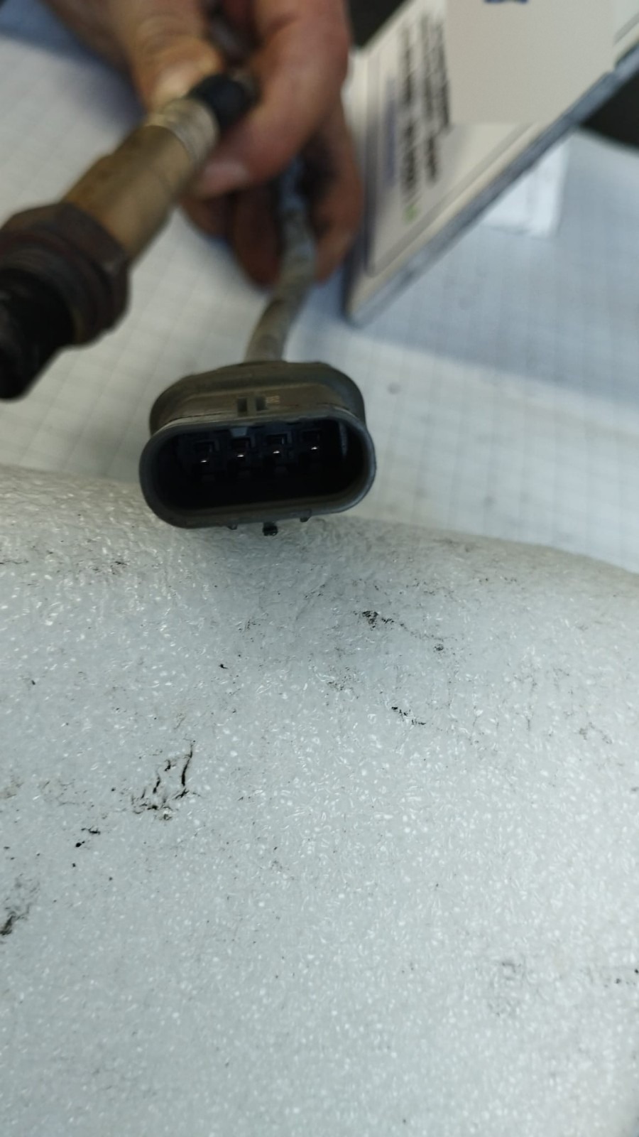 Miniatura 7