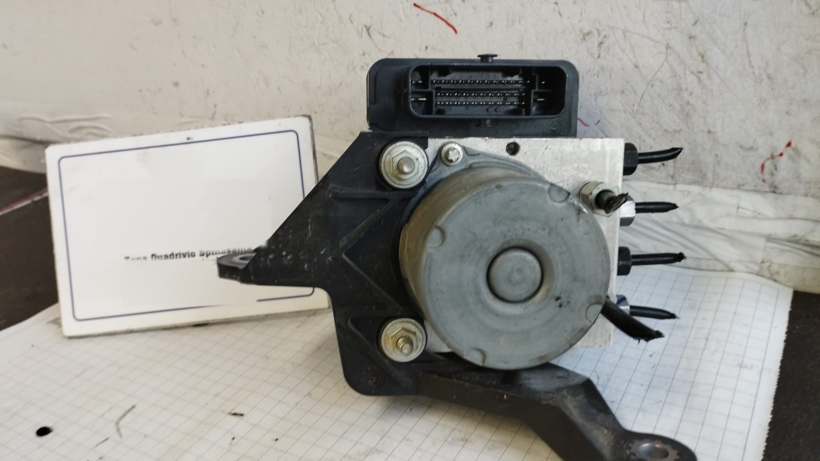 Miniatura 7