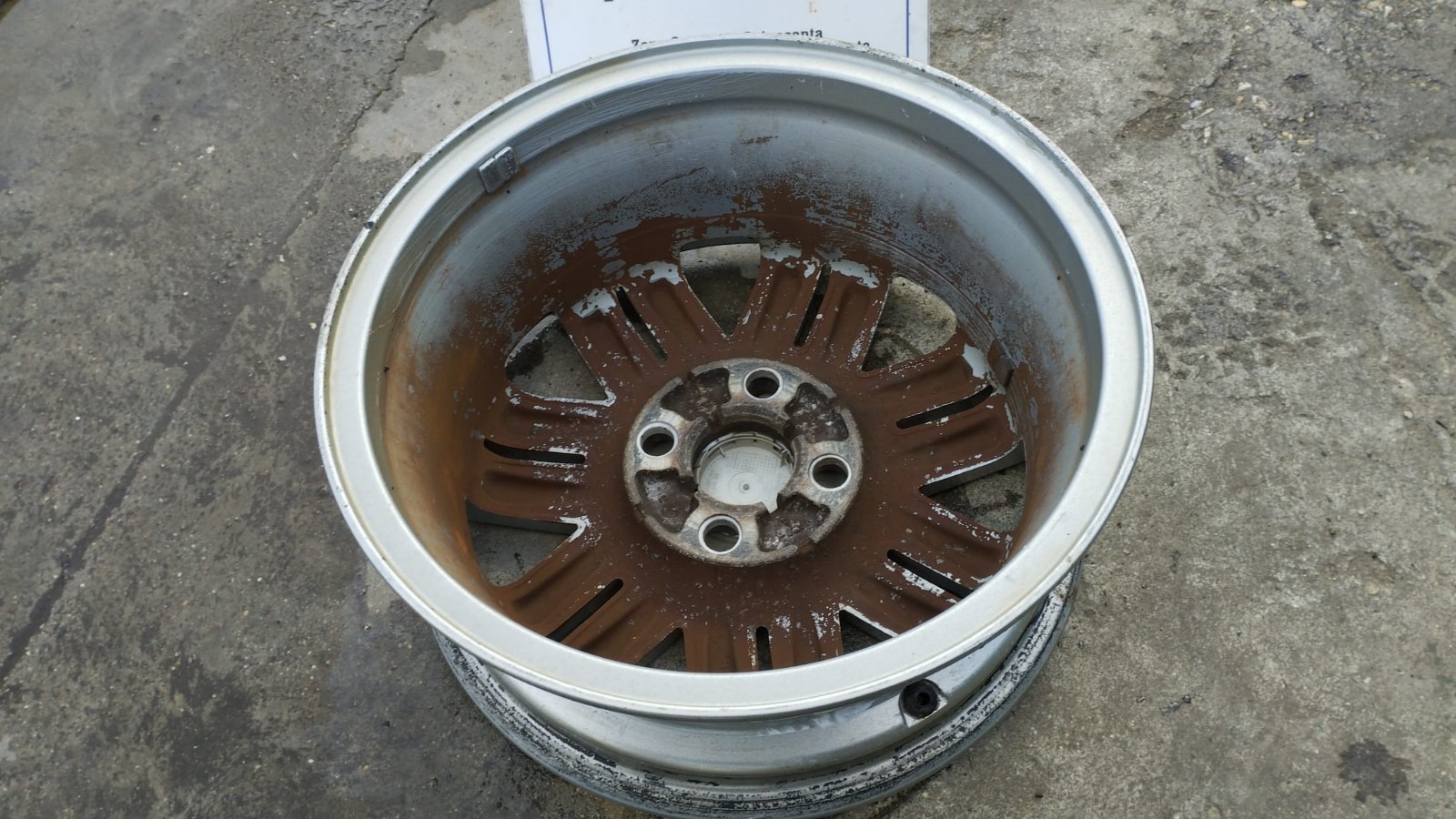 Miniatura 6