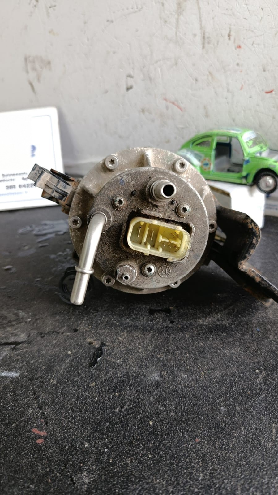 Miniatura 5
