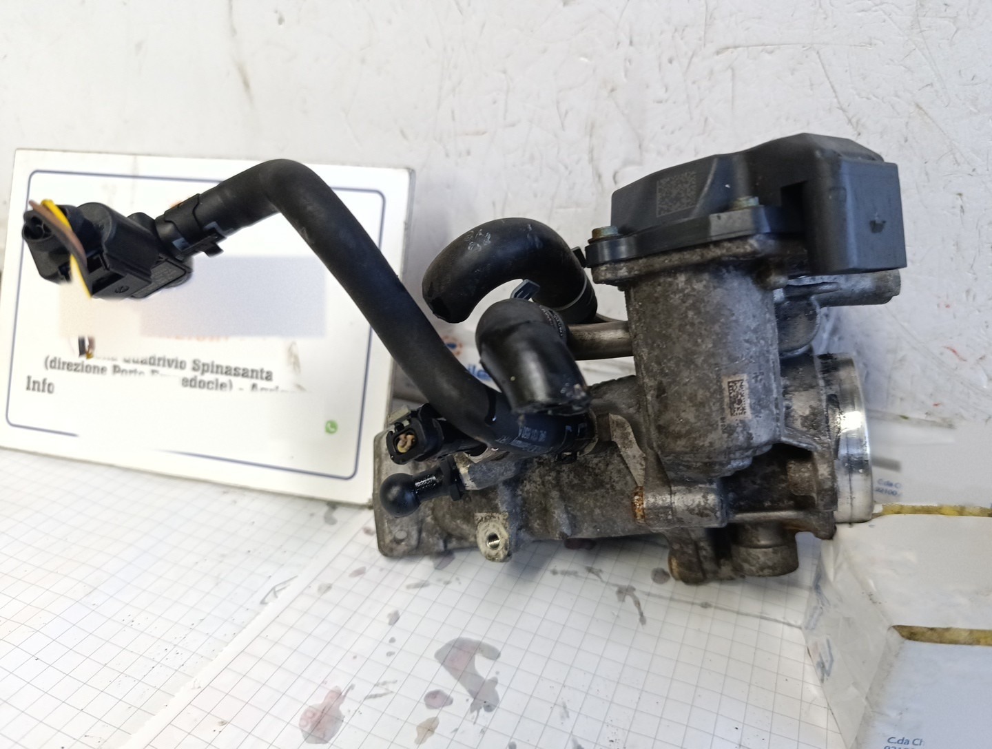 Miniatura 9