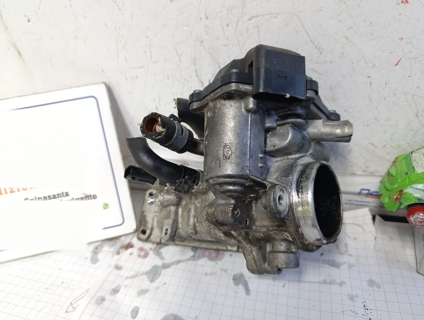Miniatura 6