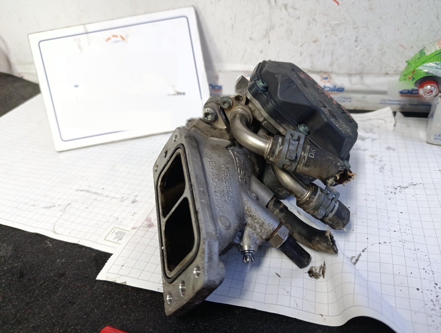 Miniatura 10