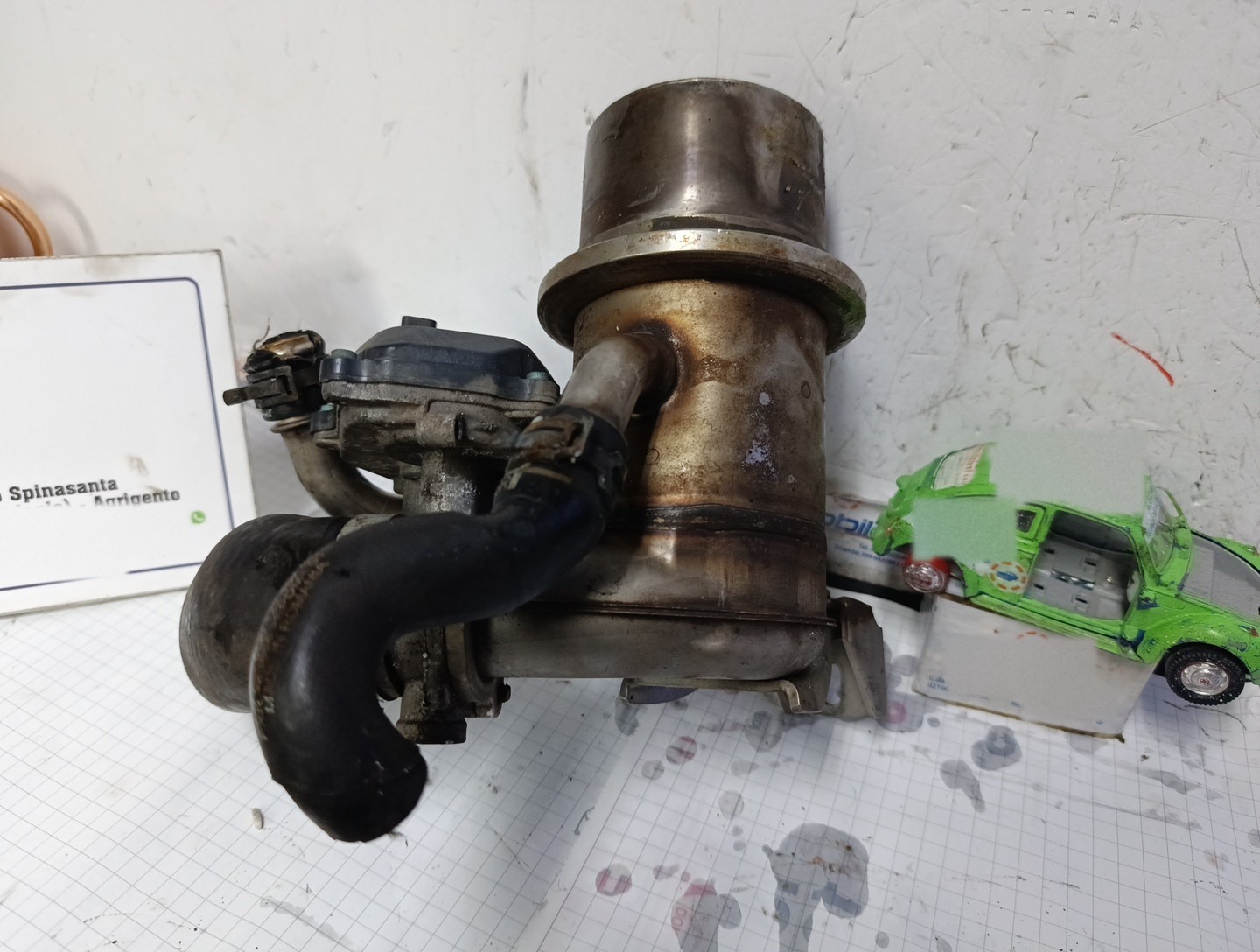 Miniatura 4
