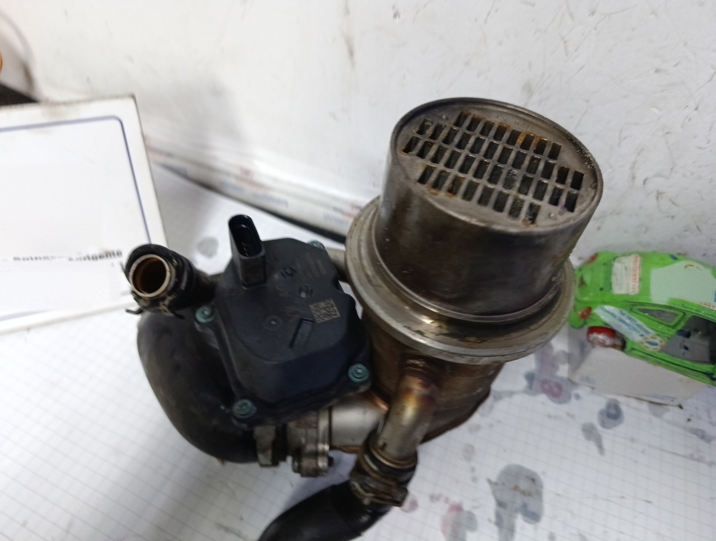 Miniatura 7