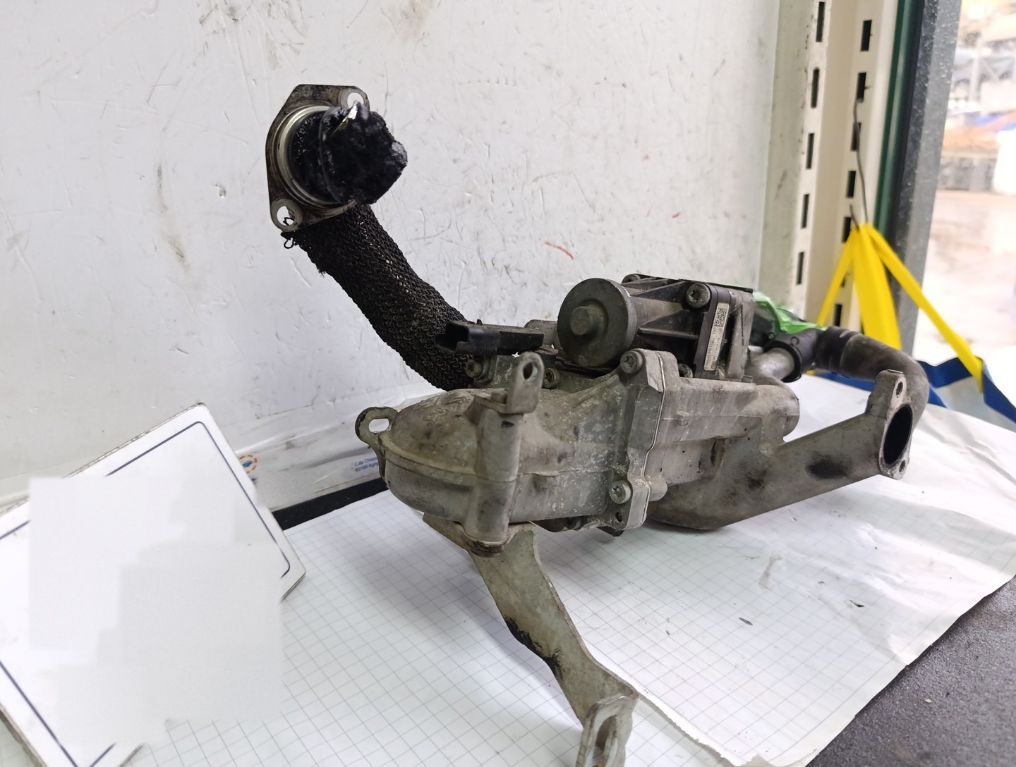 Miniatura 11