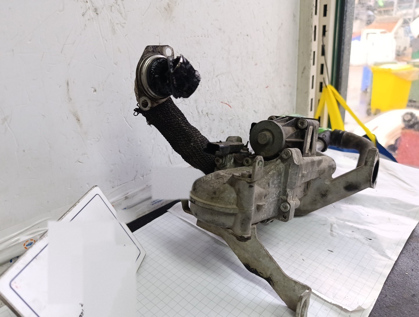 Miniatura 12