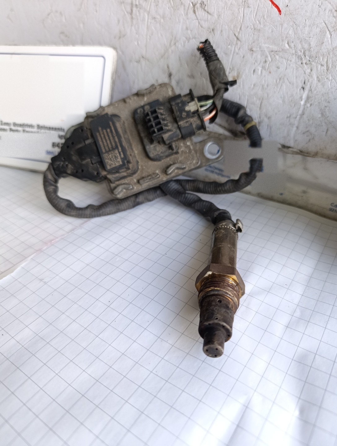 Miniatura 7