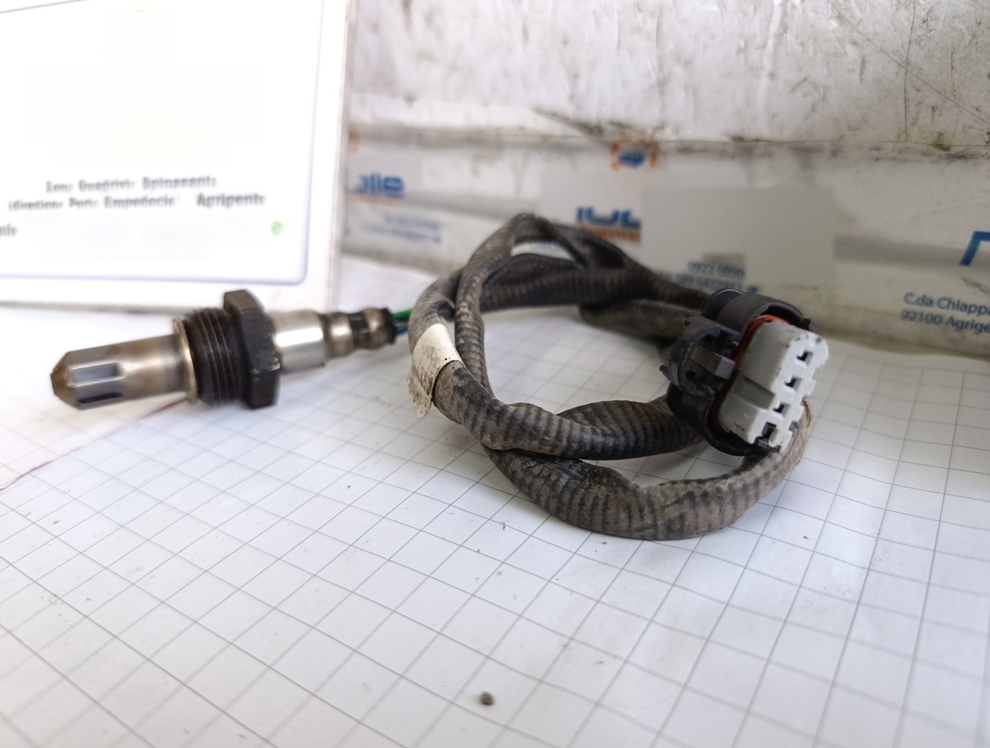 Miniatura 5