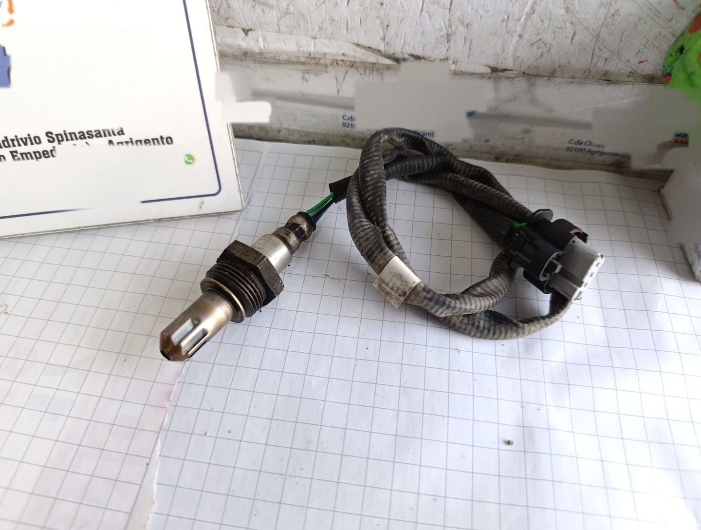 Miniatura 6