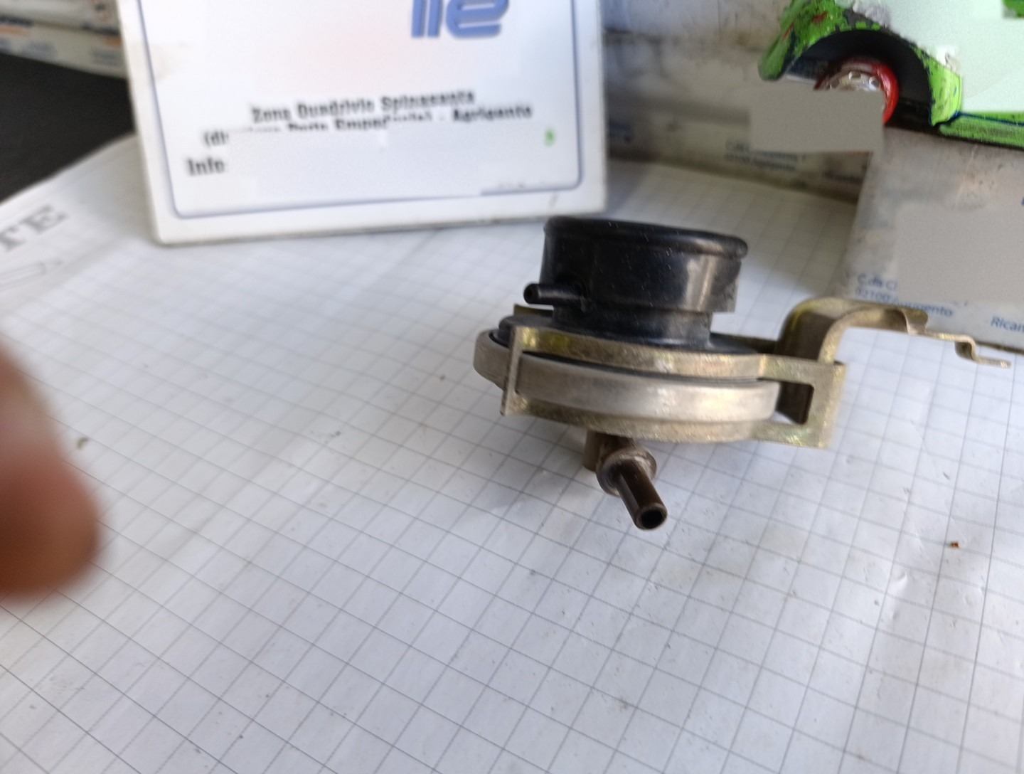 Miniatura 7