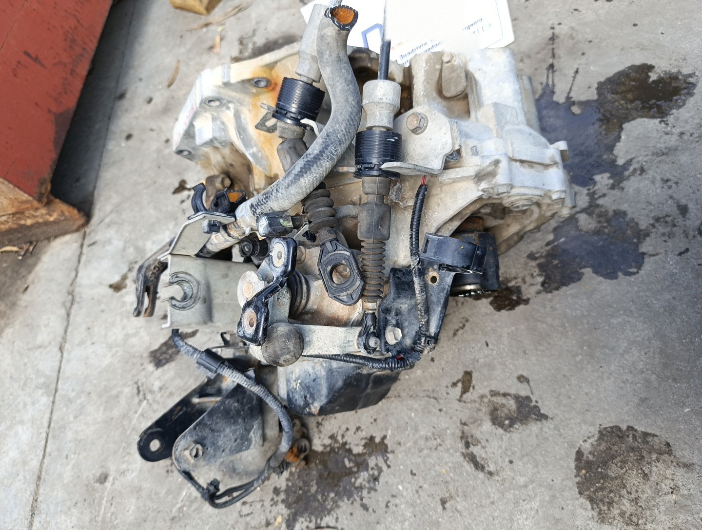 Miniatura 13