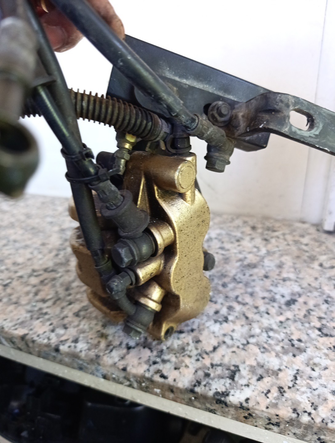 Miniatura 16