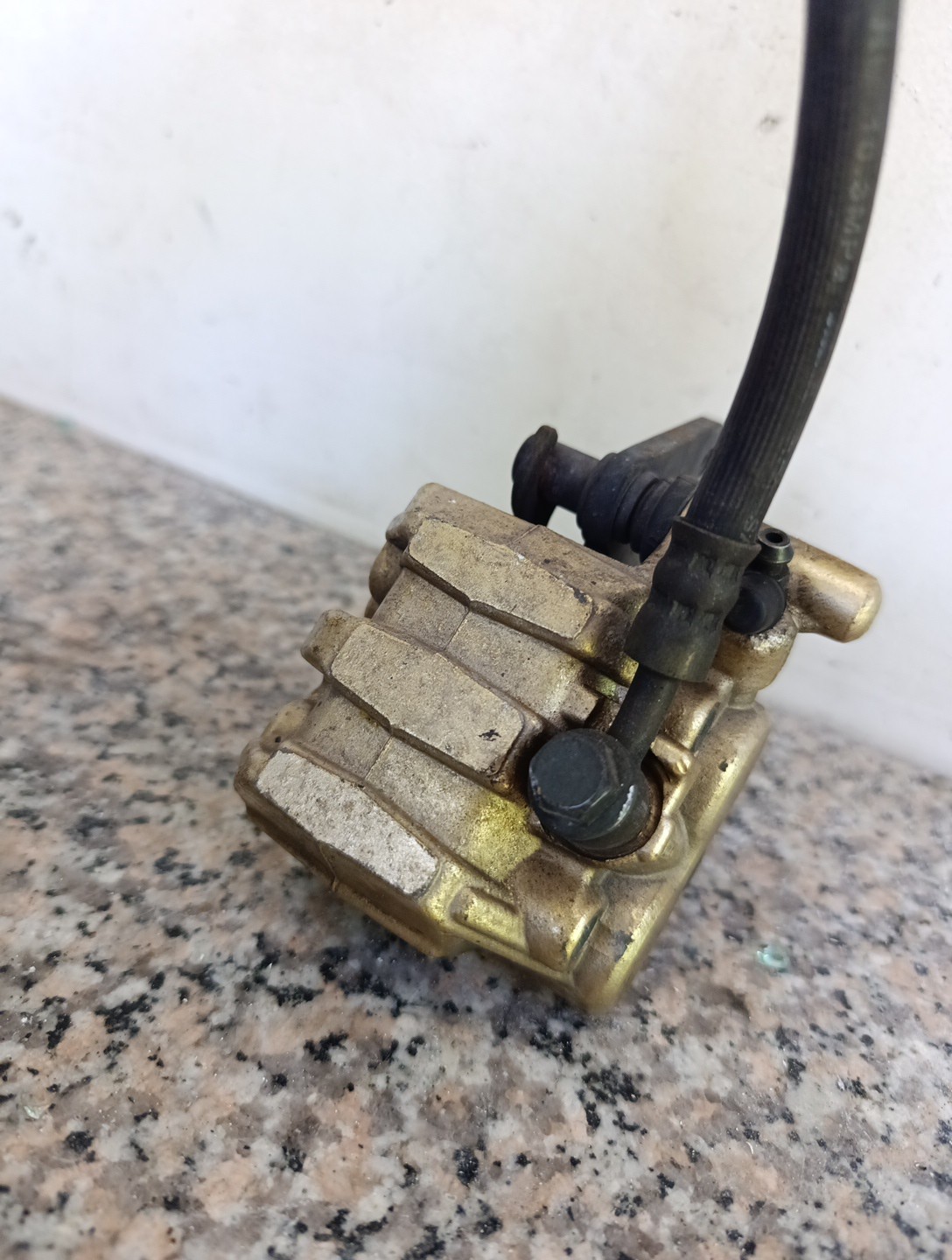 Miniatura 13