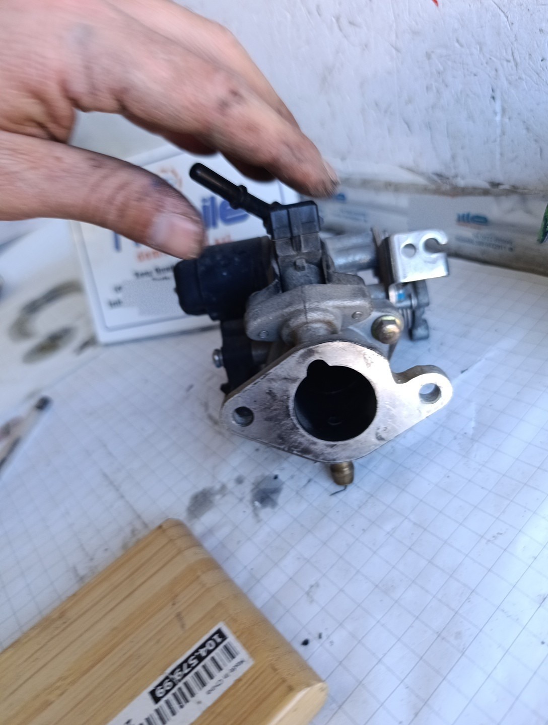 Miniatura 11