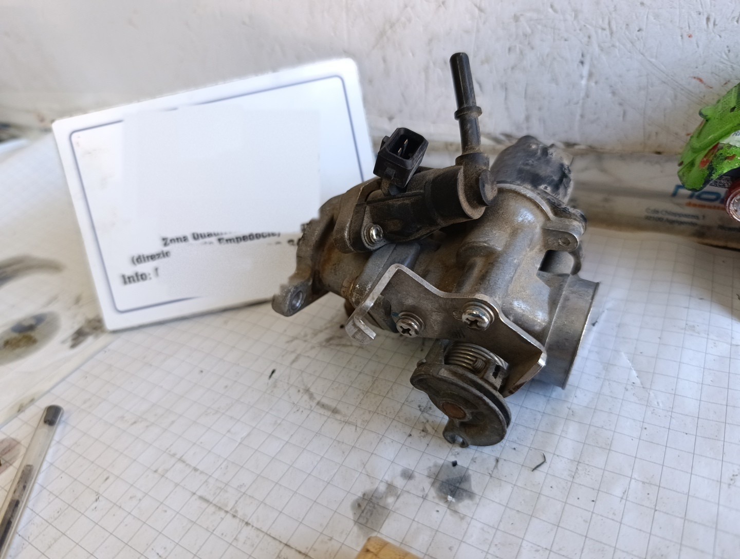 Miniatura 12