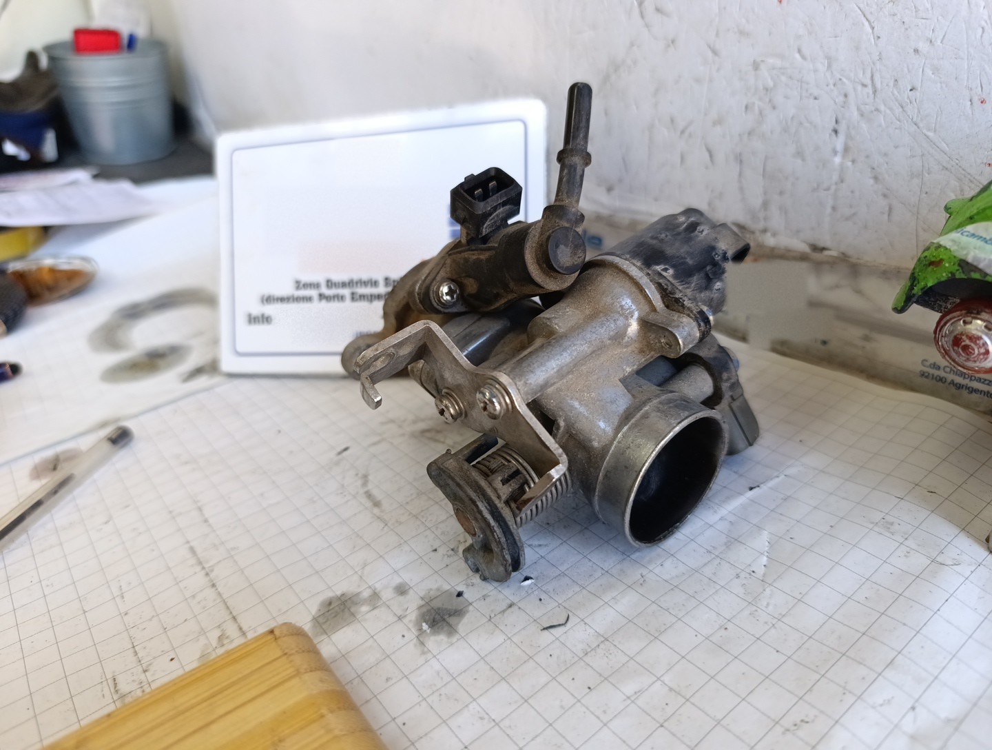 Miniatura 13
