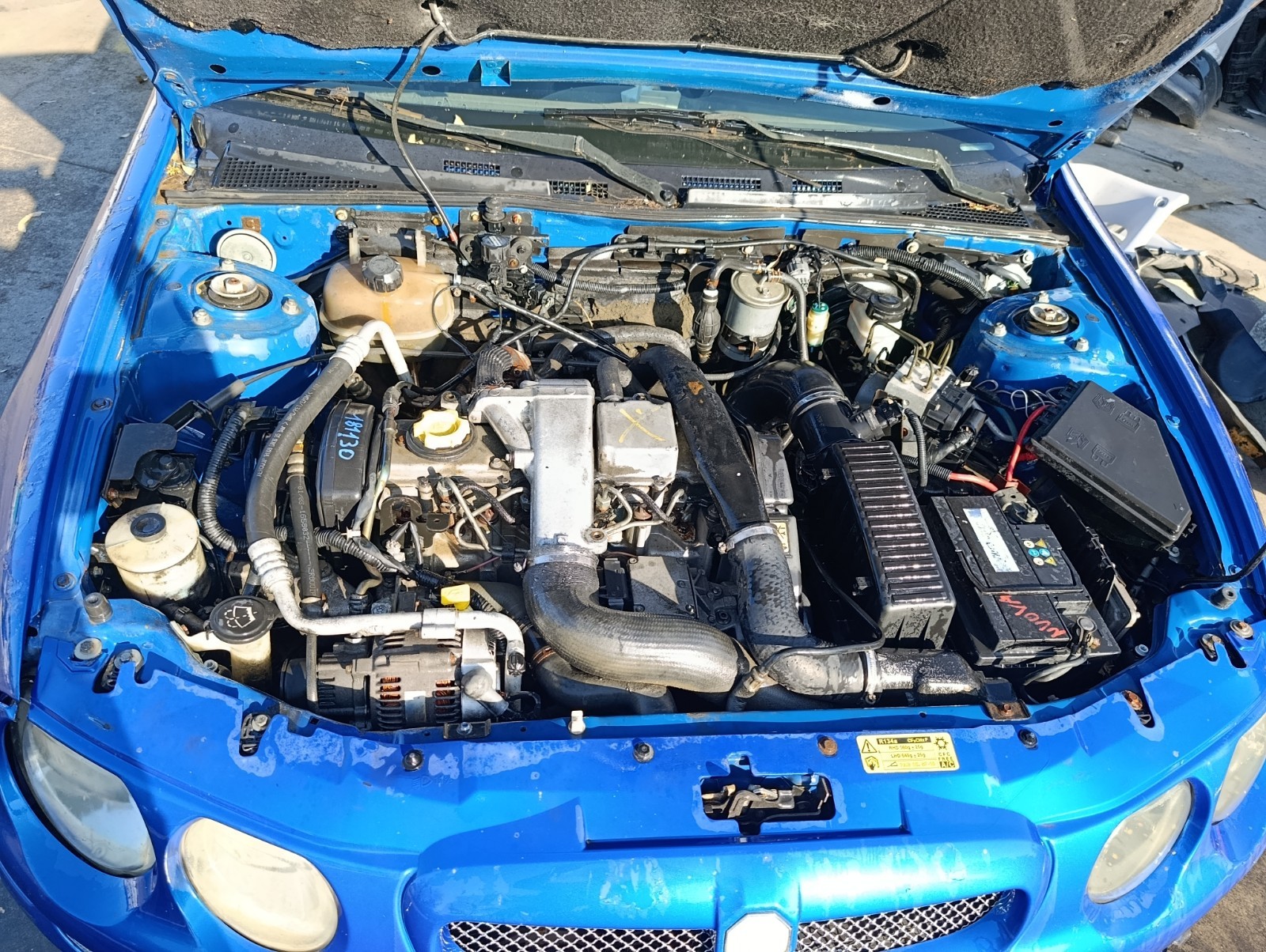 Miniatura 13