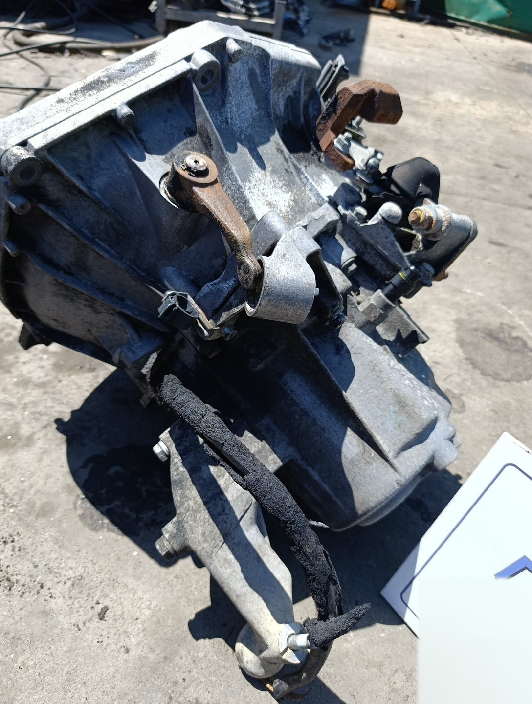 Miniatura 6