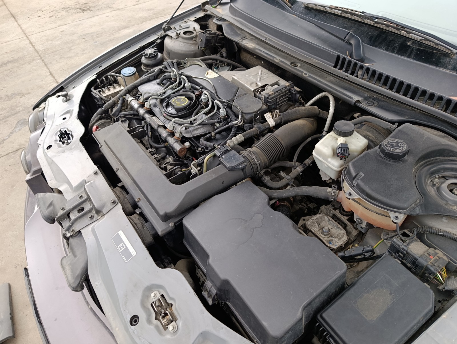 Miniatura 6