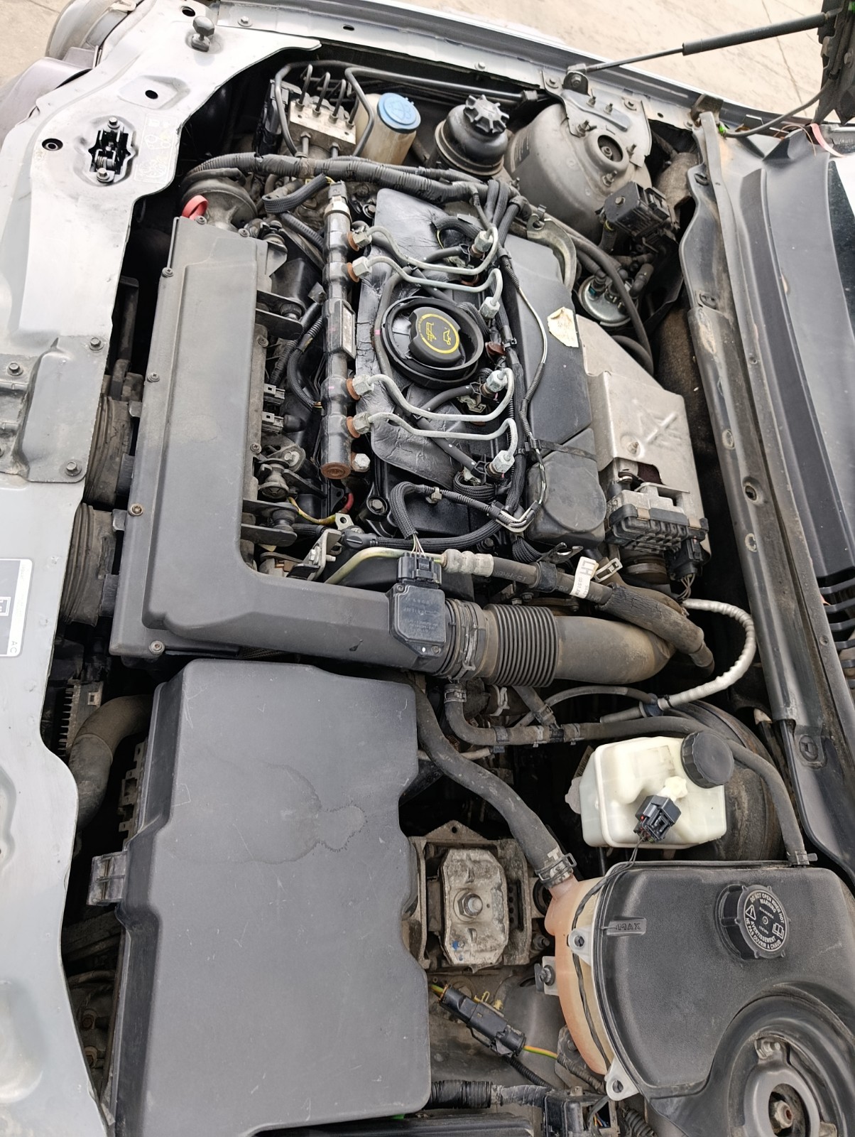 Miniatura 8
