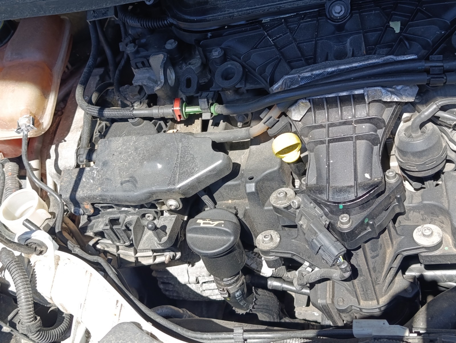 Miniatura 11