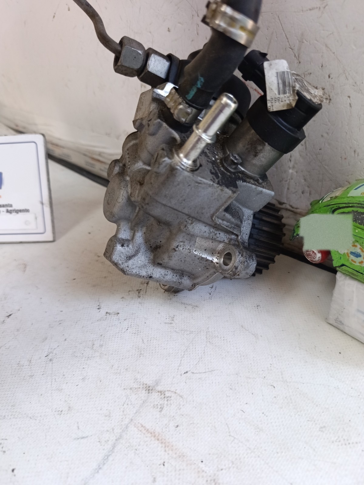 Miniatura 14