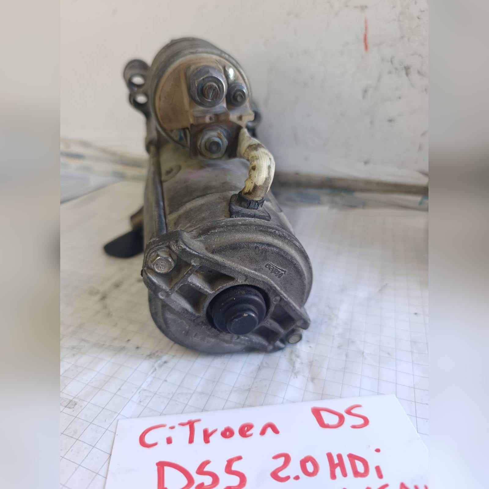 Miniatura 11