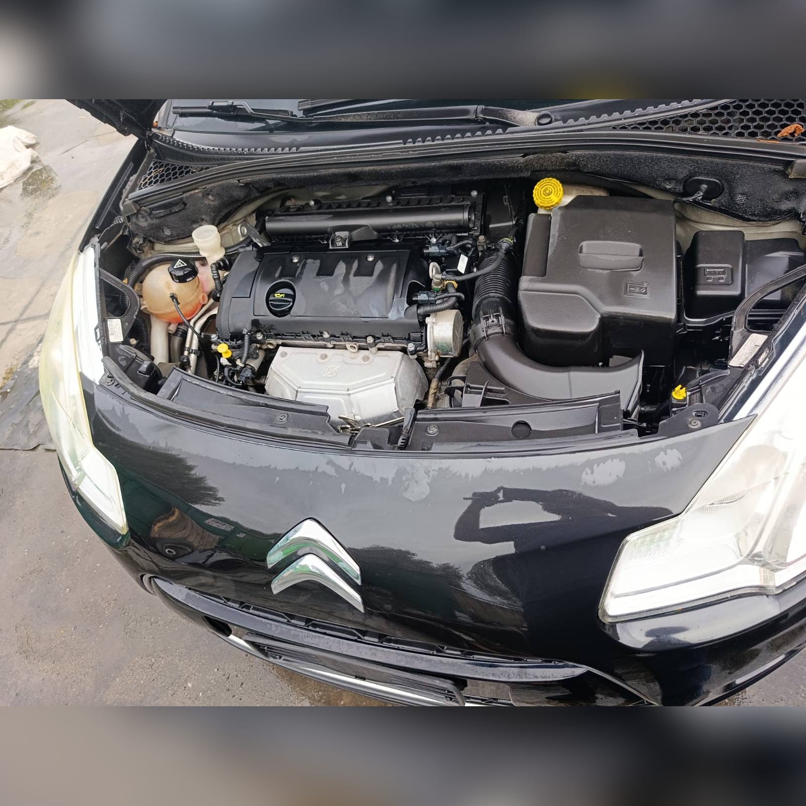 Miniatura 8