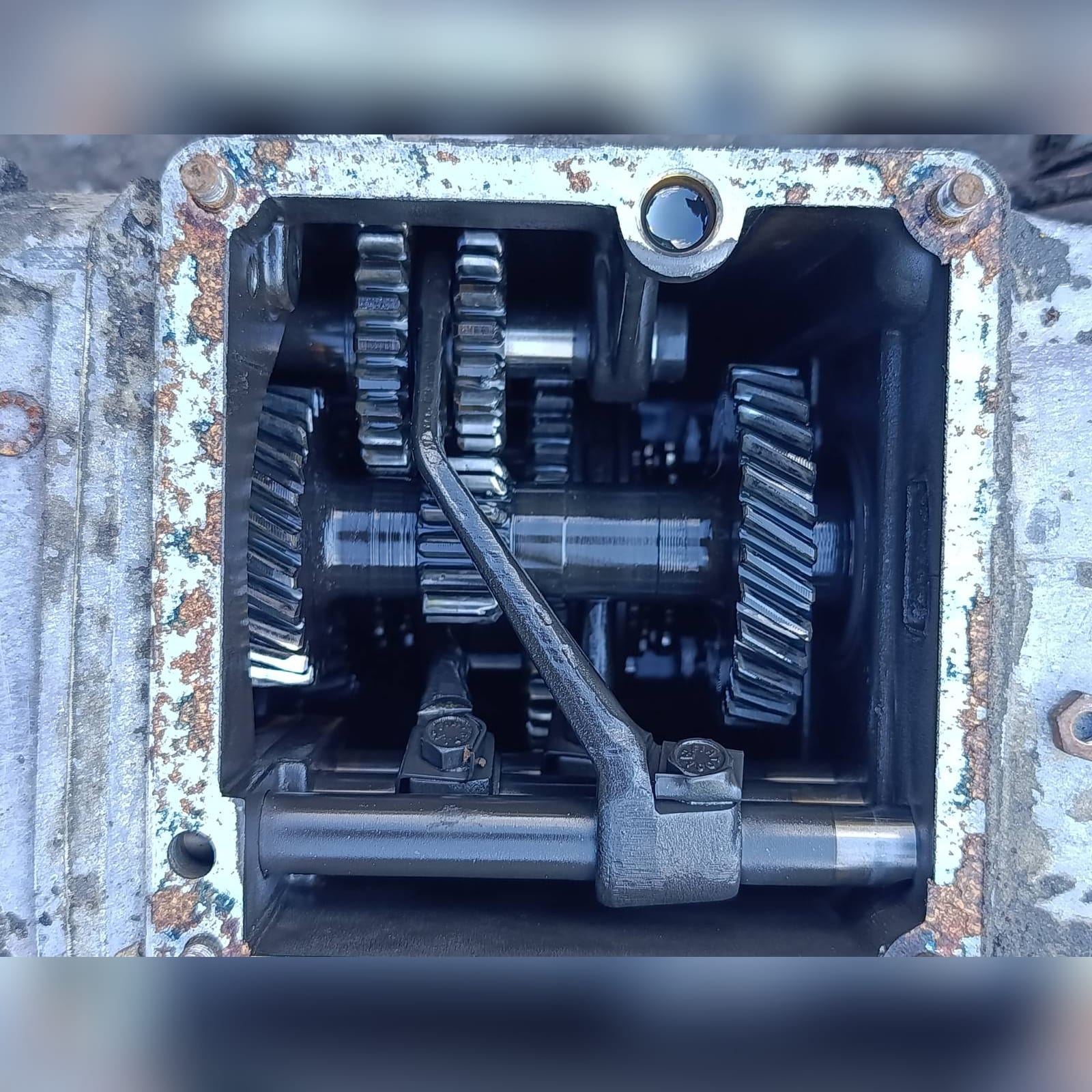 Miniatura 14