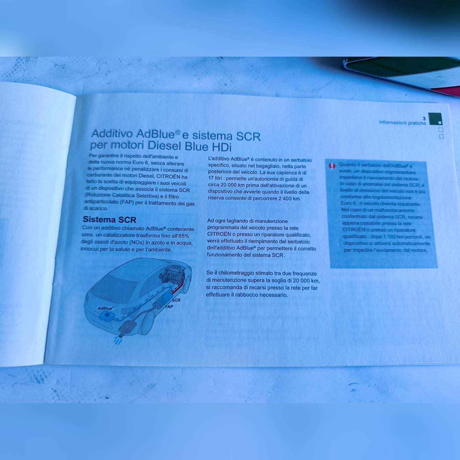 Miniatura 13