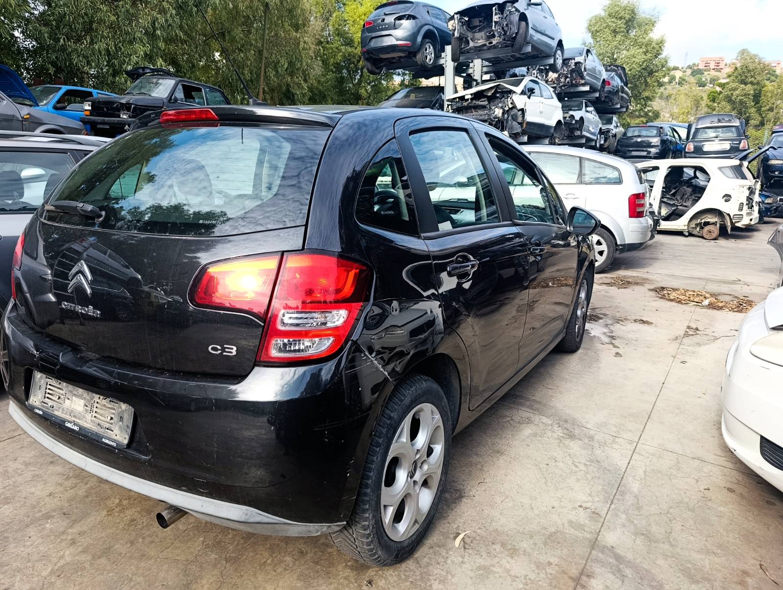 Miniatura 12