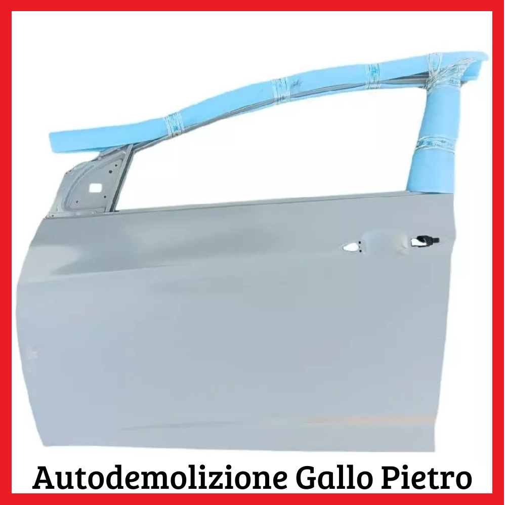 Porta Ant. Sinistro 76003 Usato