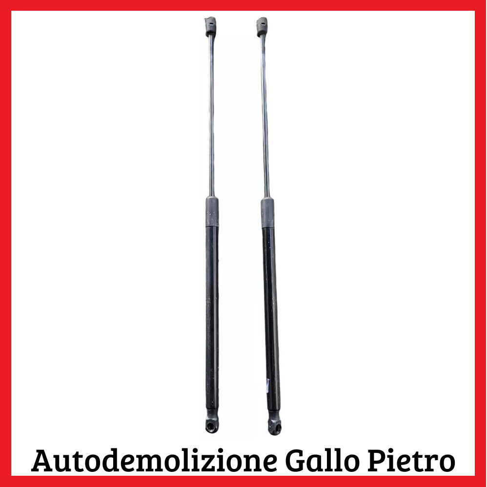 Coppia Asta Amm. Portello Post BM51-A406A10-AE Usato