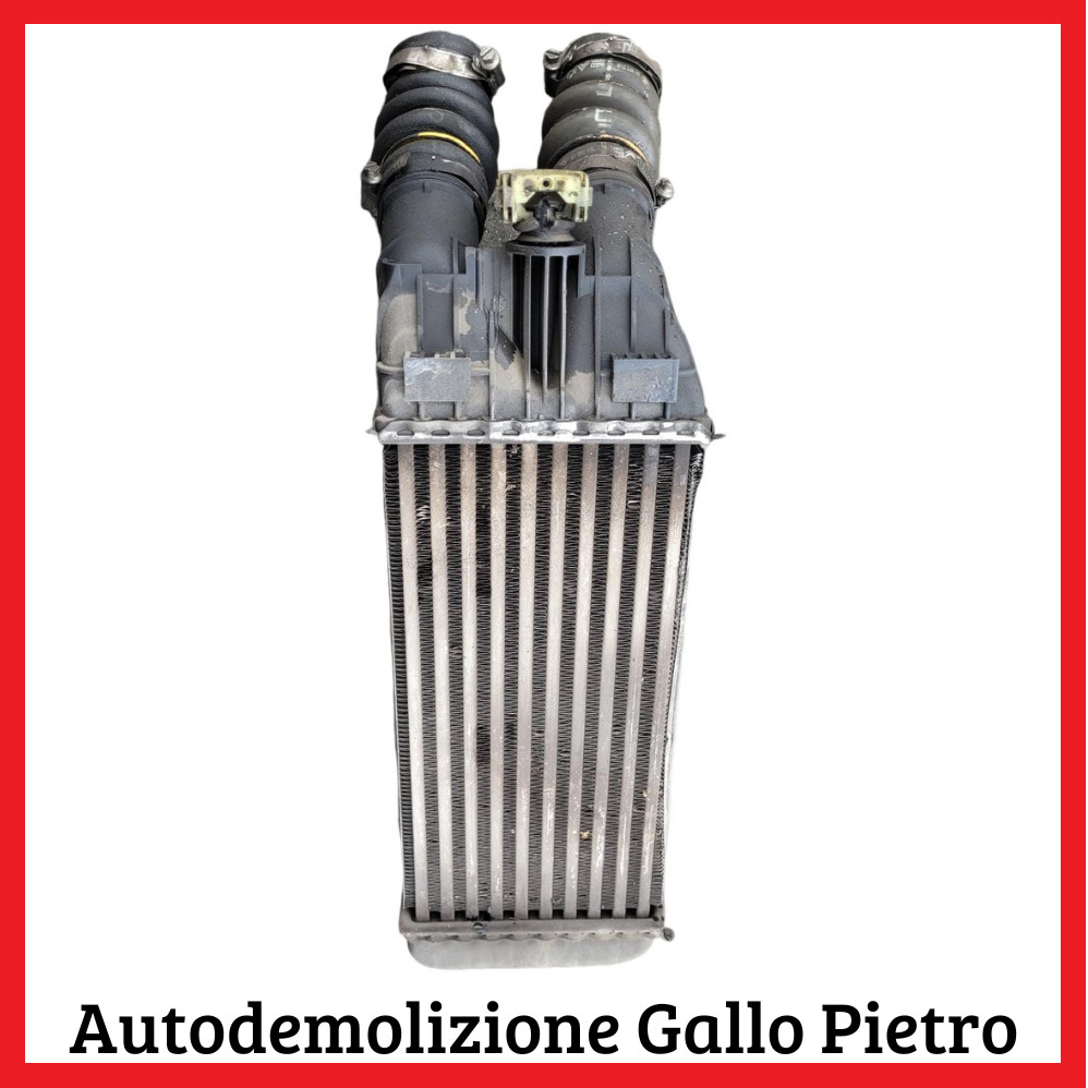 Scambiatore Aria/aria (- Senza Marca/generico -) 0384 Usato