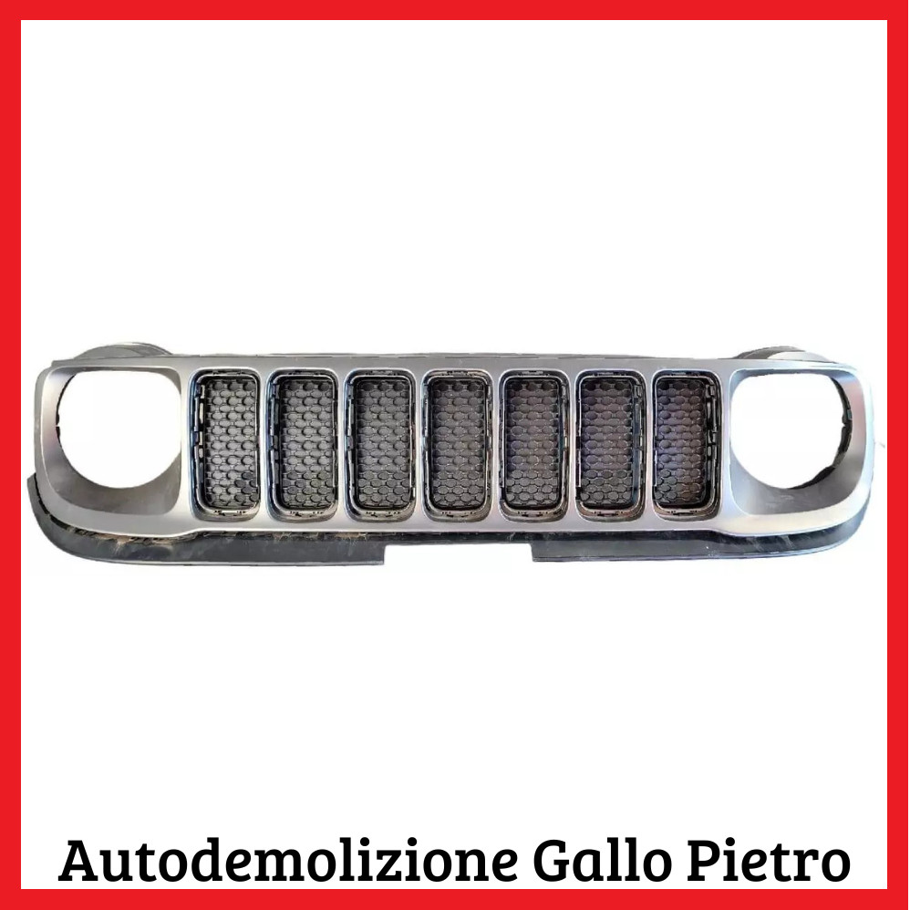griglia anteriore - Immagine 1 di 3