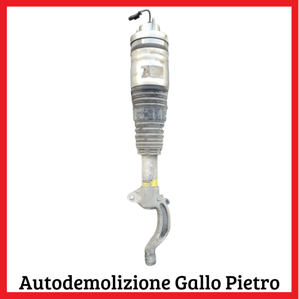 Ammortizzatore Ant. Sinistro Usato