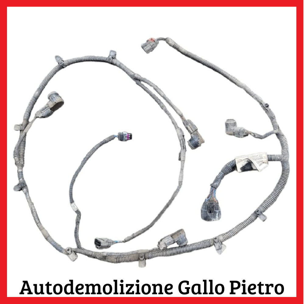 Cablaggio Post. Sensori Parcheggio 06700333440 Usato