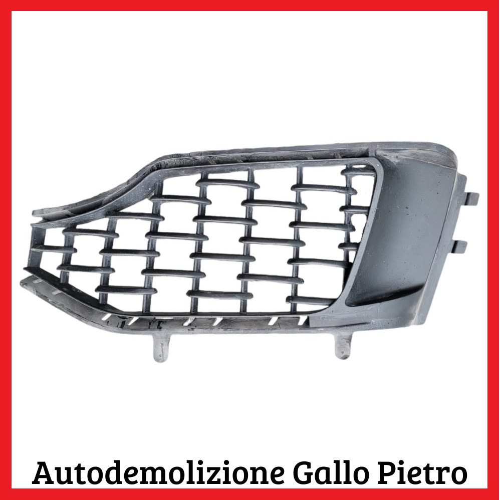 Griglia Paraurti Ant. Sinistro 670041953 Usato