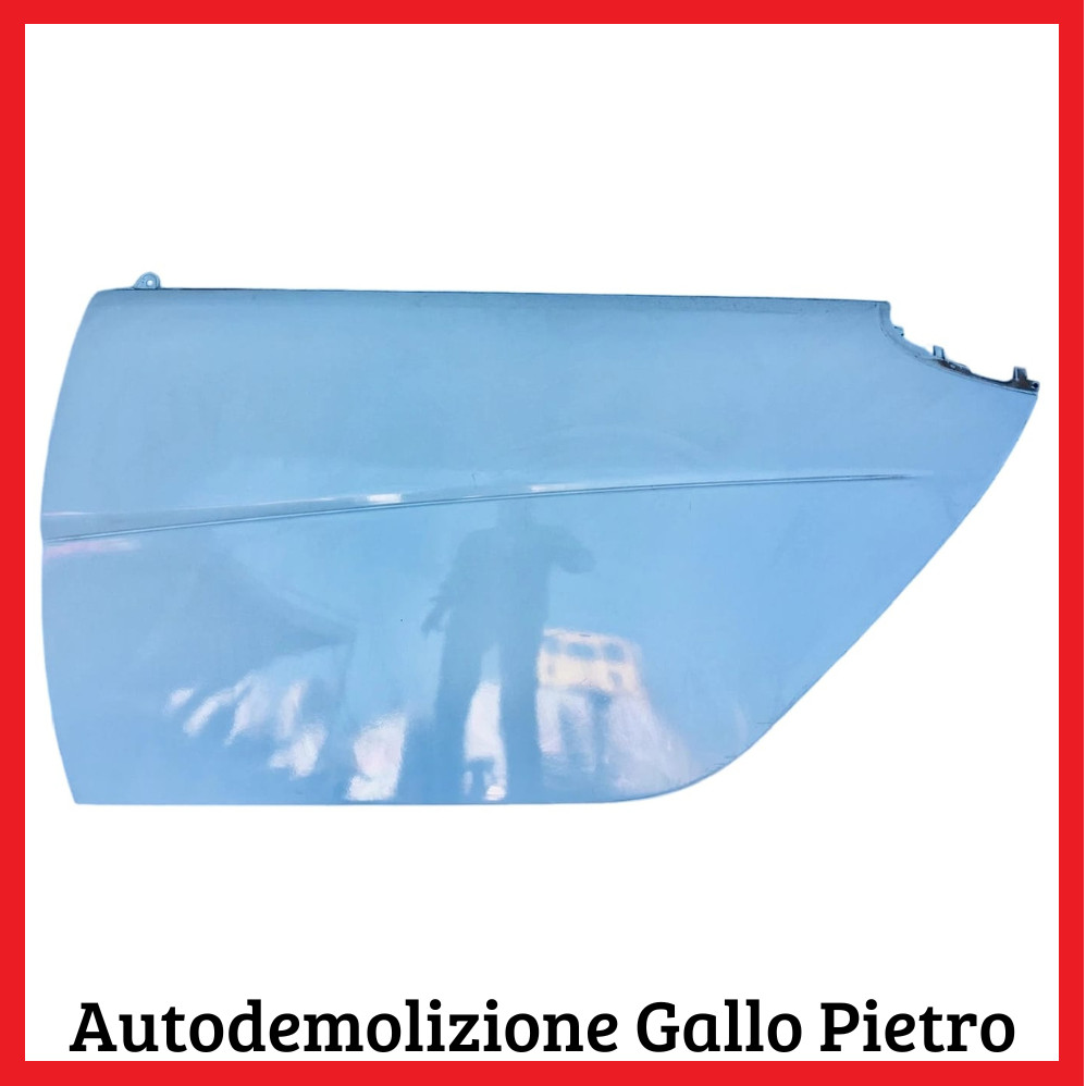 Pannello Porta Sinistro Usato
