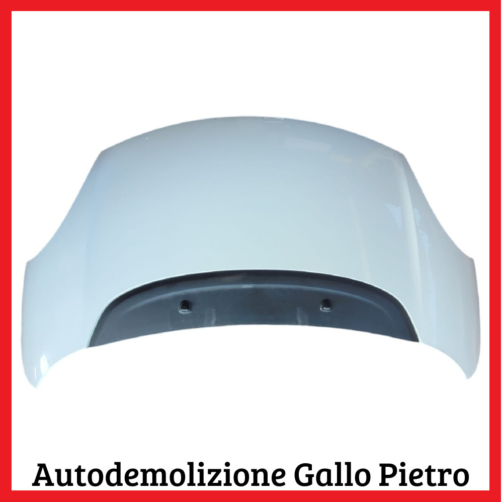 Cofano Ant. 51883012 Usato