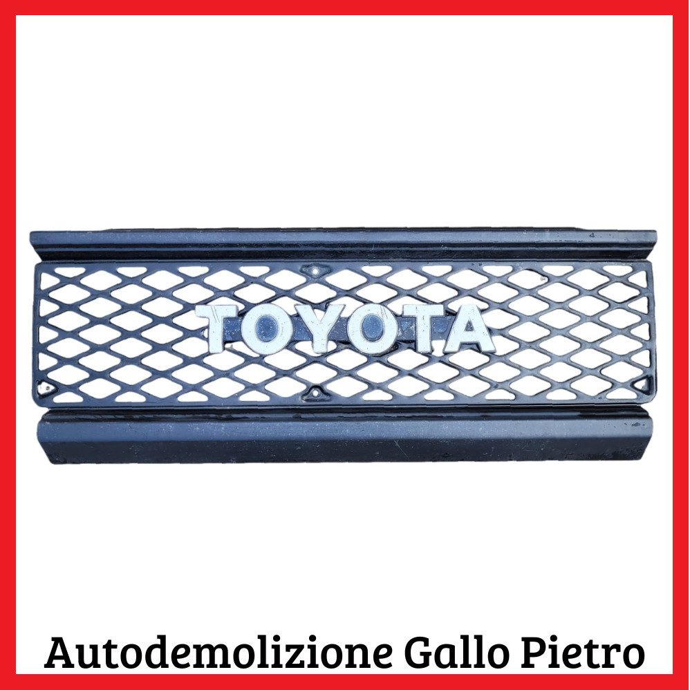 Griglia Radiatore 53101-90K03 Usato