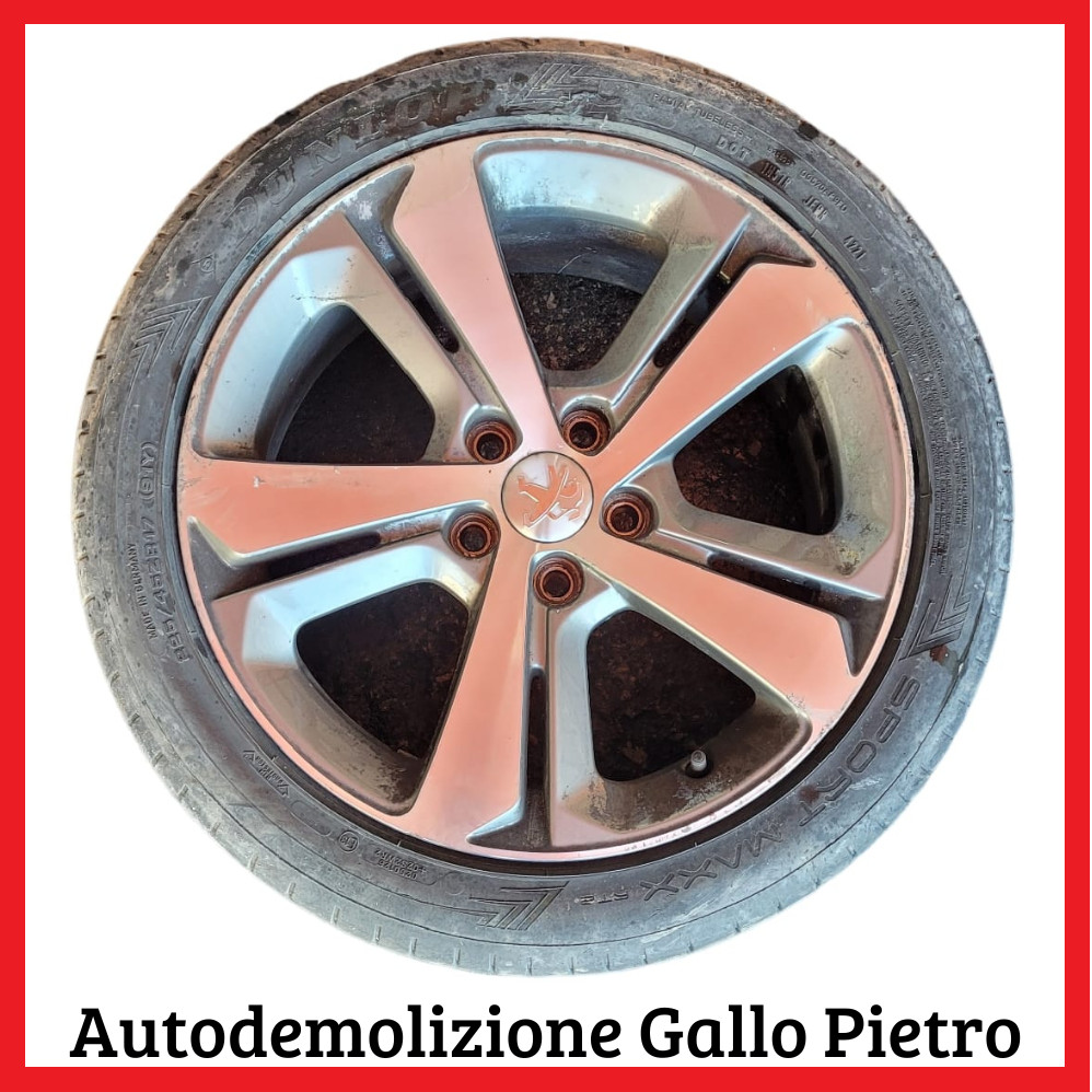 Miniatura 6