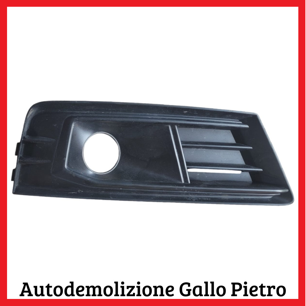Griglia Paraurti Ant. Destro 8W0 Usato